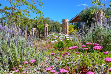 Cockburn verge gardens .